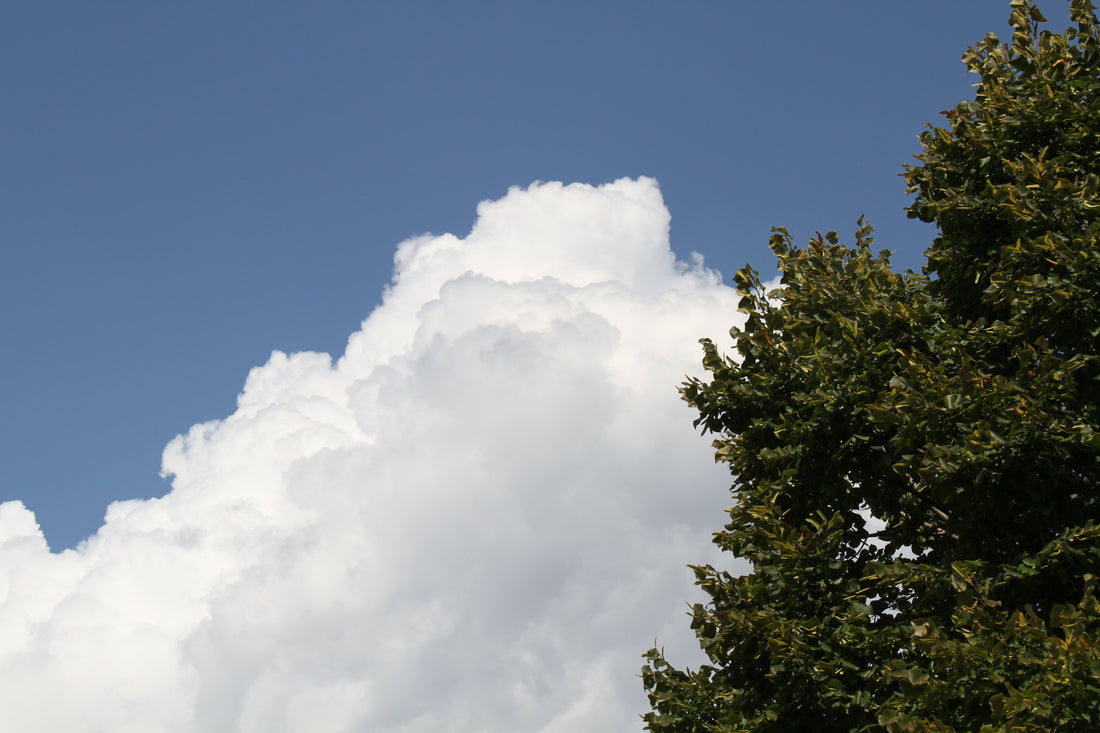 Entre dos mundos (o más)